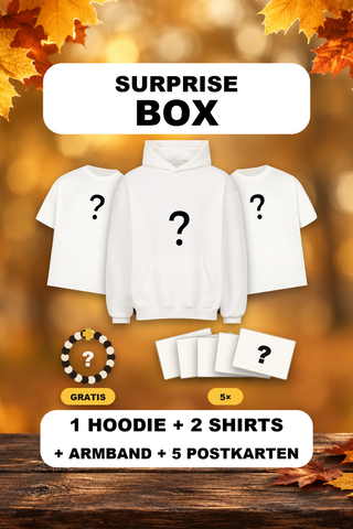 Surprise Box: 1 Oversize-Hoodie, 2 Oversize-Shirts, Armband und 5 Postkarten